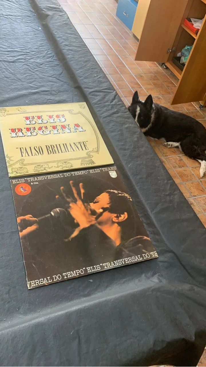 Semana do consumidor, todo acervo com 165 LPs, rock, samba, pagode, MPB, Beatles .. - Foto 4