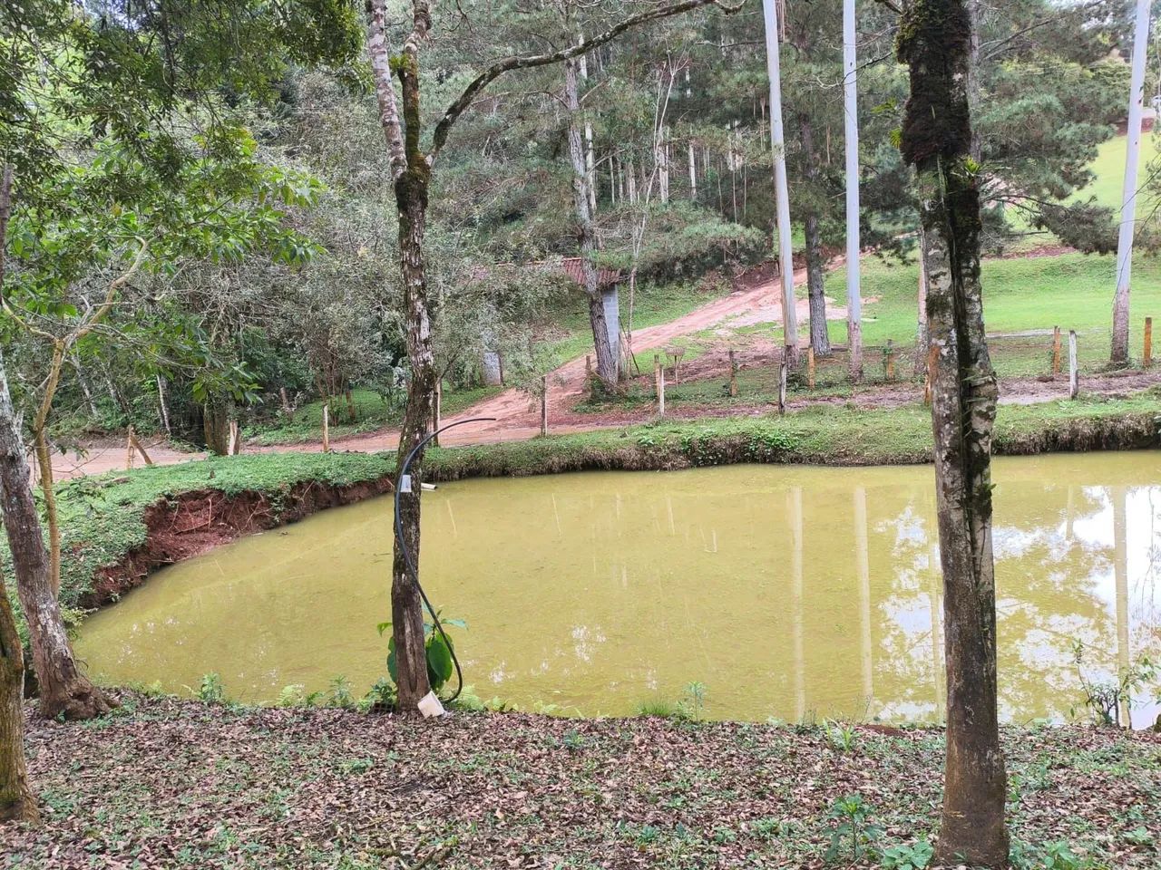 Chácara  Rio Branco do Sul 