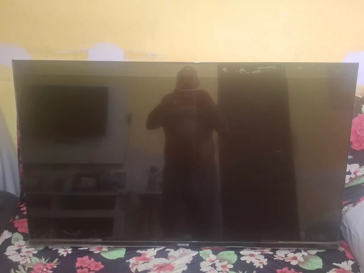 Televisão 