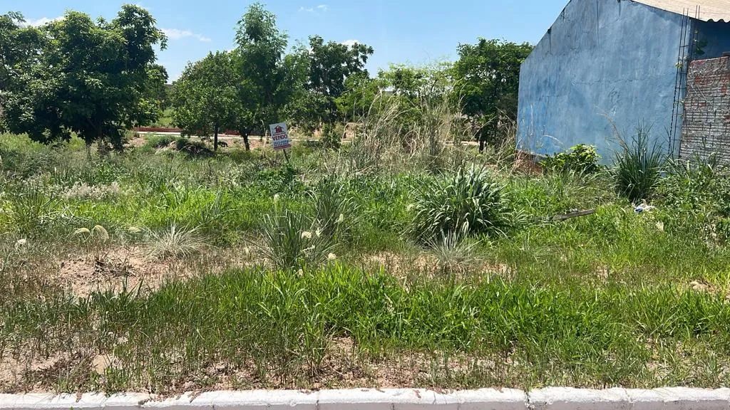 Terreno venda, Tropical Ville - Foto 2