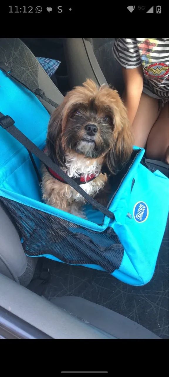 Cadeira de transporte de Pet  - Foto 2