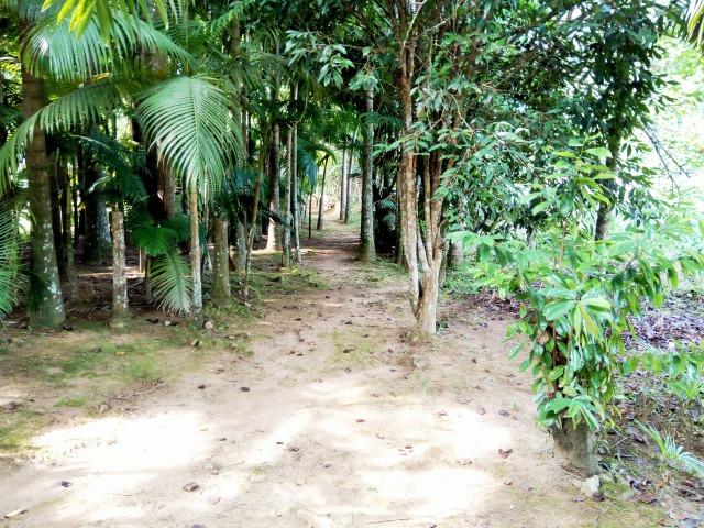 Sítio na cidade de Rodeio, estuda troca por apartamento em Timbó, um verdadeiro recanto - Foto 13