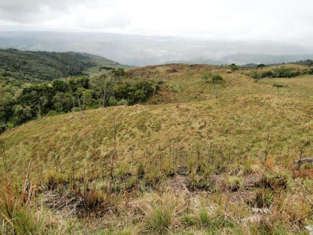 Pense num lugar bonito, sitio 5 hectares a 1000 m de altitude - Foto 13
