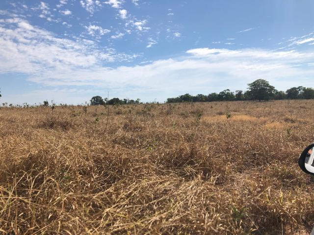 2750 Hectares x Campo Grande,Pecuária e Lavoura,Comodoro-MT Ótimo localização