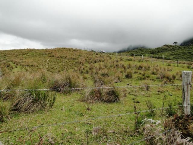 Pense num lugar bonito, sitio 5 hectares a 1000 m de altitude - Foto 15