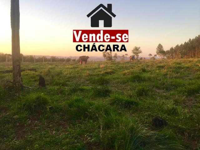 Imperdível - Entrada de 12 mil em uma maravilhosa Chácara Escriturada!! - Foto 5
