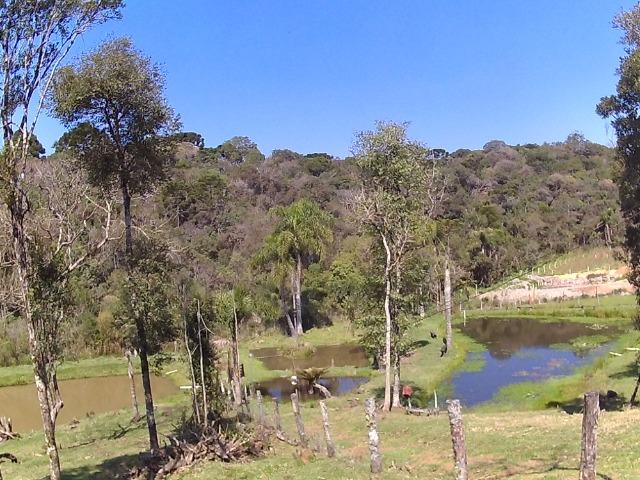 Chacara com 22.000m2 - Foto 7