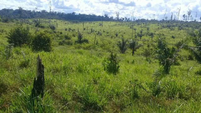 34 alque à 12 km de imperatriz sendo 5 km de chão