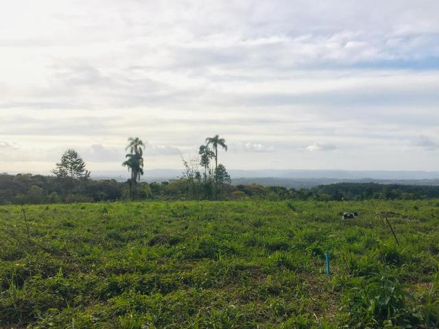 Imperdível - Entrada de 12 mil em uma maravilhosa Chácara Escriturada!! - Foto 6