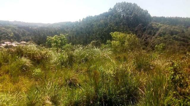 Terreno para Venda, 20.000,00 m² São Bento do Sul / SC, bairro Oxford - Foto 3