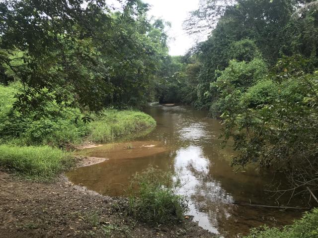 Oportunidade Venda Sítio/Rancho 46mil m2 em Aldeia Velha - Silva Jardim-RJ - Foto 3