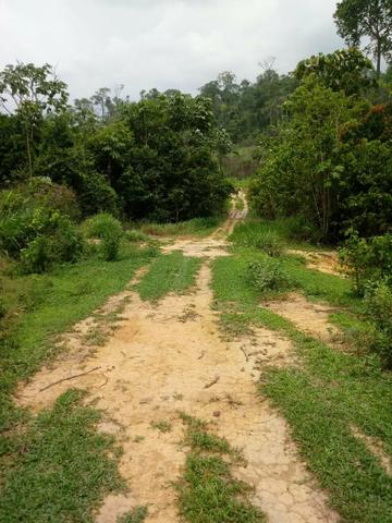 Fazenda
