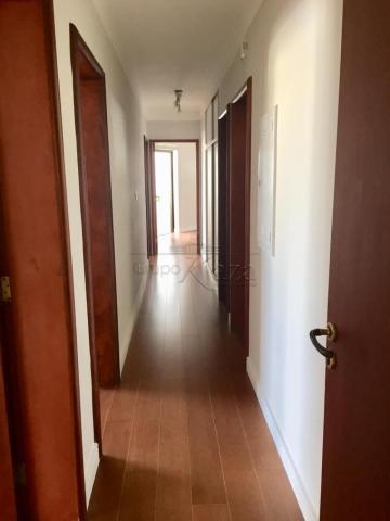Apartamento - apartamento padrão - Foto 5