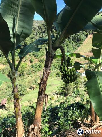 Lindo Sítio em Parajú em Domingos Martins de 8,1 hectares - Foto 4