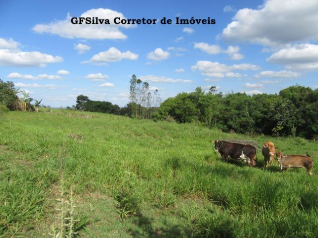 Chácara 29.000 m2 Casa mobiliada e Edicula c/ suite Ref. 410 Silva Corretor - Foto 10