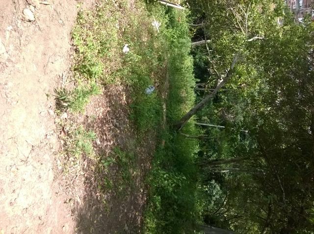 Oportunidade terreno em Águas Claras 6,9x13m R$ 8.500,00 - Foto 2