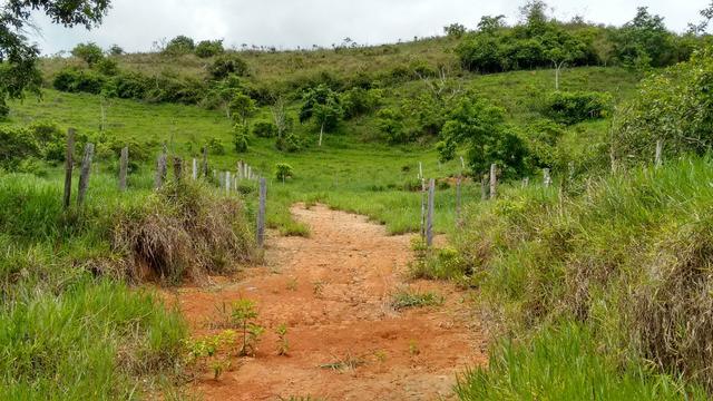 Vendo Lotes - Parapeúna divisa com Rio Preto - MG