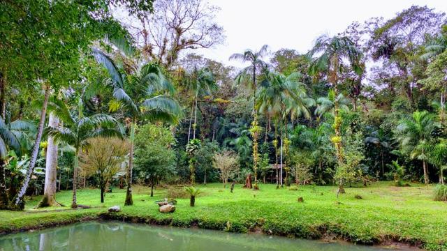 Chácara em Morretes - Foto 10