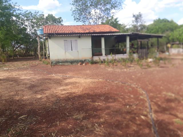 Characara - Foto 2