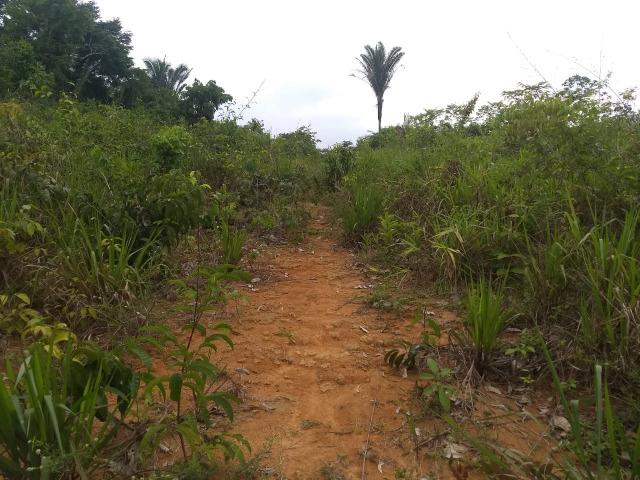 Lote, na Vila Paulo Fonteles - Foto 5