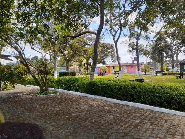 Propriedade com 14 hectares em Sairé (Cód.: fvv56) - Foto 20