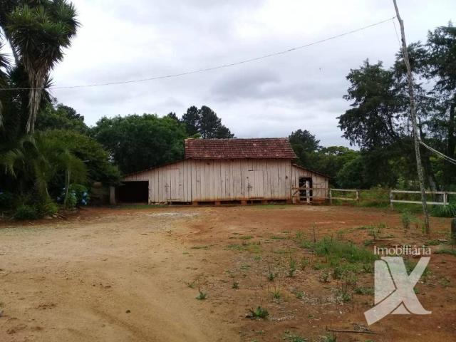 Chácara - venda, 176.055 m² por r$ 1.500.000 - botiatuva - - campo largo - pr - Foto 13