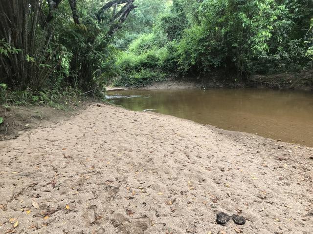 Oportunidade Venda Sítio/Rancho 46mil m2 em Aldeia Velha - Silva Jardim-RJ - Foto 4