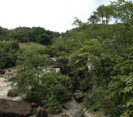 Fazenda serrana, vista para Cachoeira é muita água - Foto 4