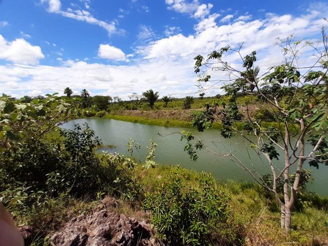 Fazenda com 160 hectares em Mucajai/RR, ler descrição do anuncio - Foto 17