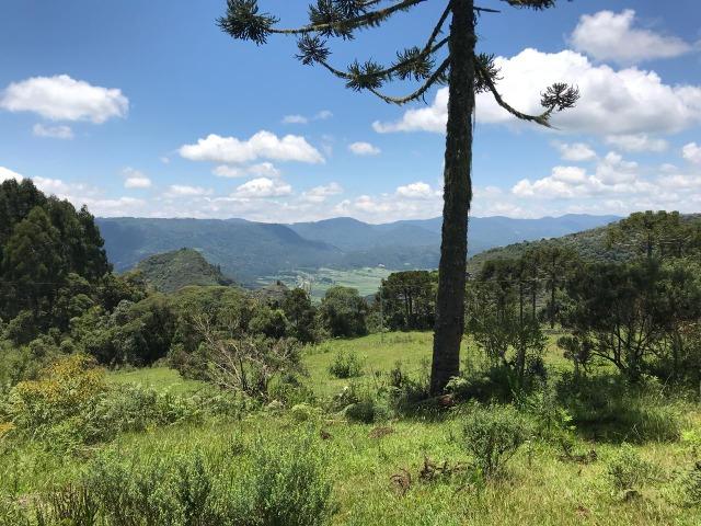 Sítio em Urubici - Foto 17