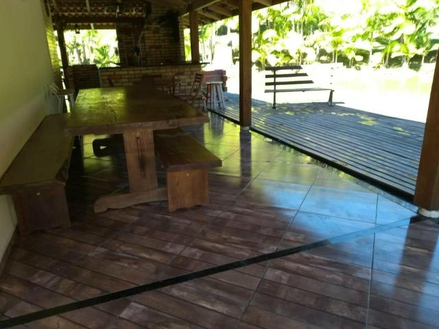 Sítio tifa bom Jesus reflorestamento - Foto 3