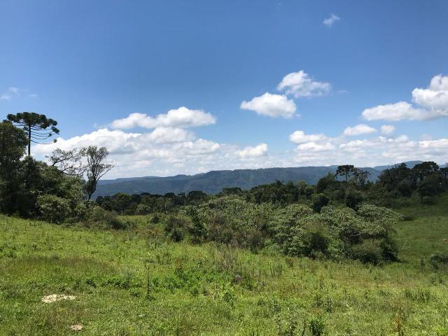 Sítio em Urubici - Foto 14