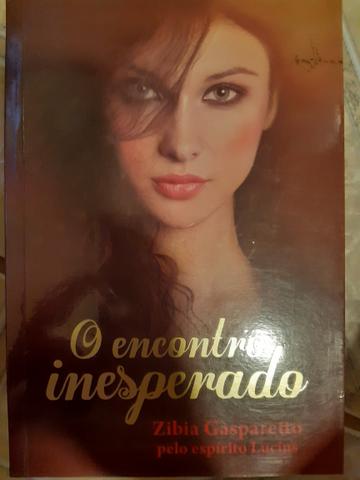Livro O encontro inesperado