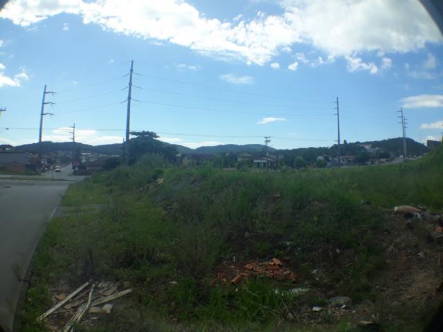 Terreno para alugar com 0 dormitórios em Itinga, Joinville cod:08720.001 - Foto 8