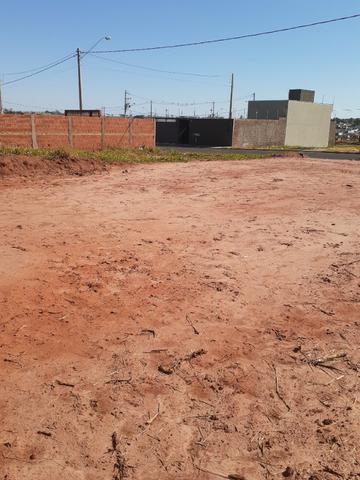 Lote - Foto 3