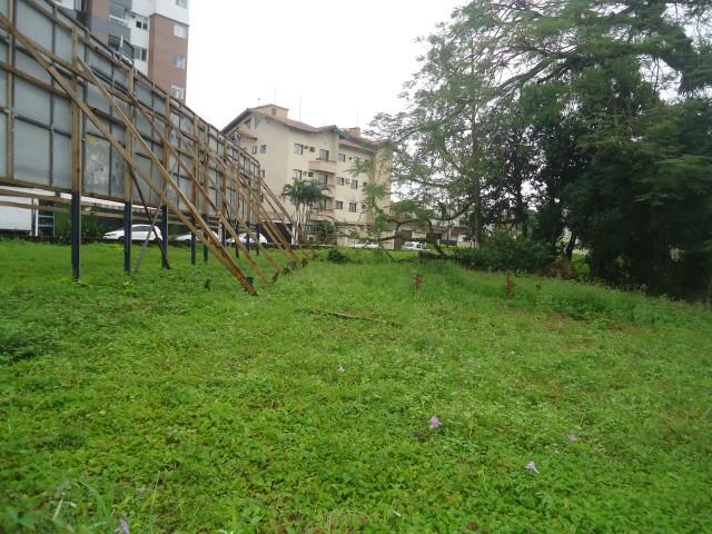 Terreno para alugar com 0 dormitórios em Saguacu, Joinville cod:01400.003 - Foto 5