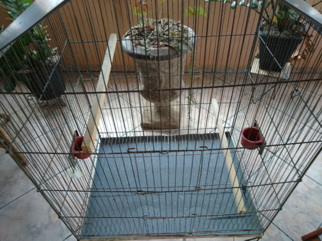 Gaiola Grande para Aves em Geral - Foto 4