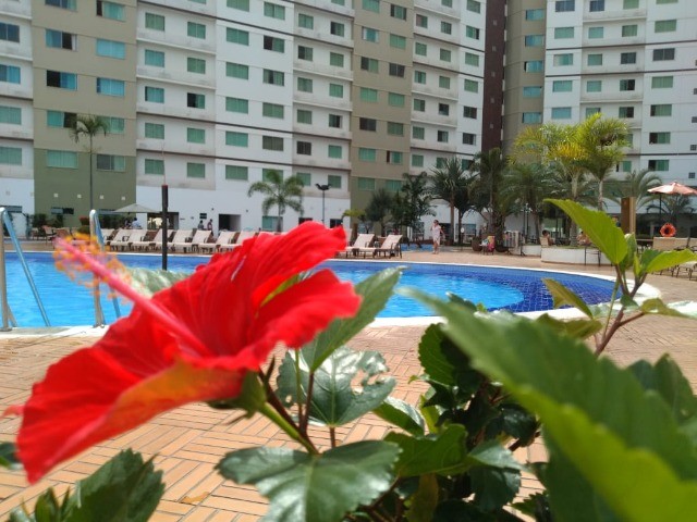 Apartamento em Caldas Novas - Temporada - Aluguel - Diária - Férias - Pacote - Foto 6