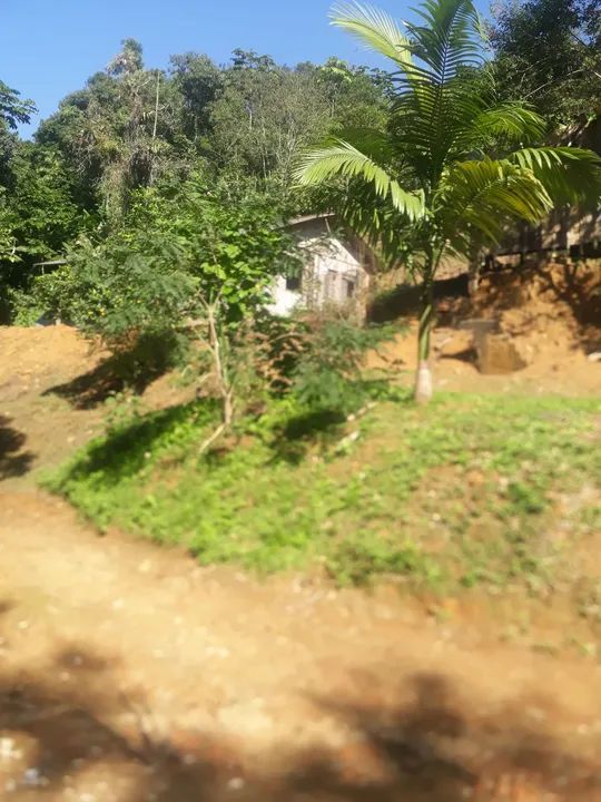 Chácara  em Morretes Rio Sagrado - Foto 2