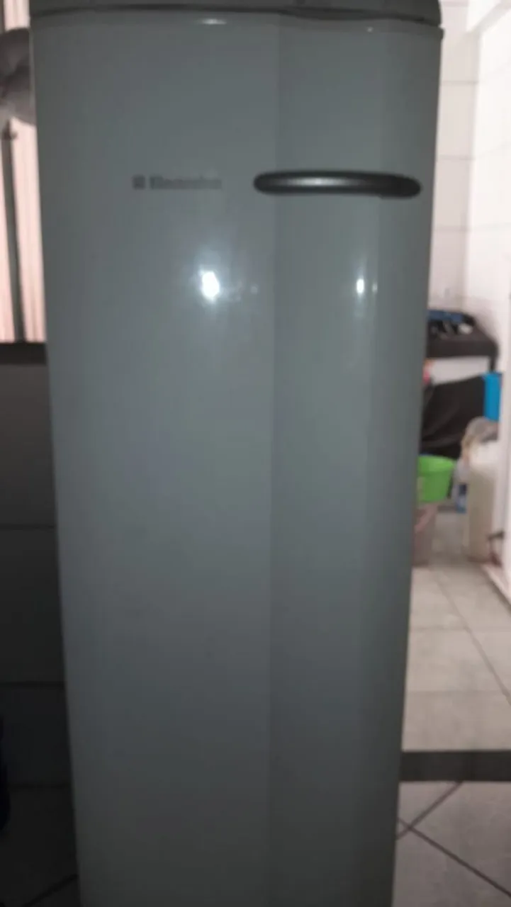 Freezer Electrolux