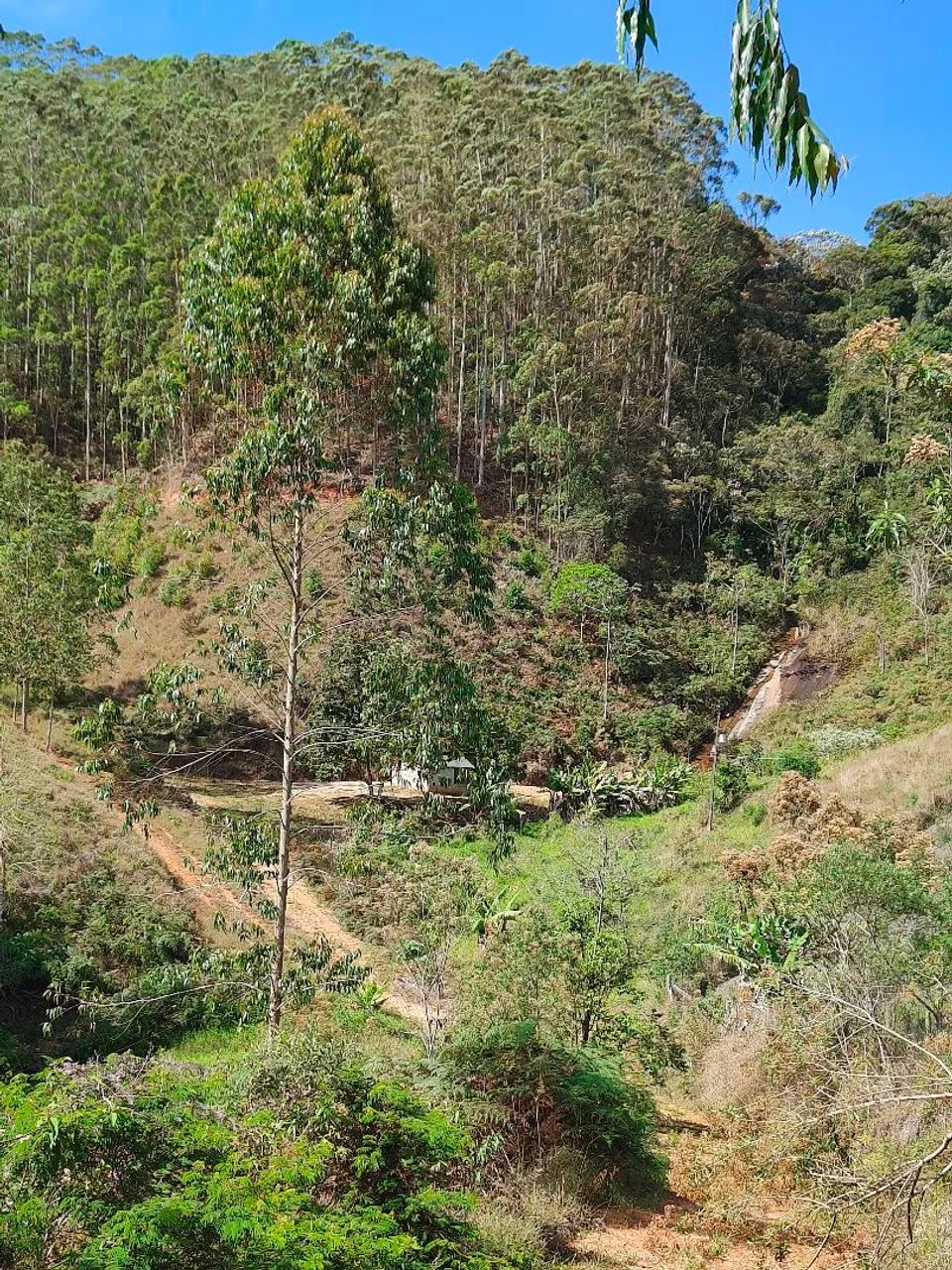 Sítio nas Montanhas 22.000m² - Foto 2