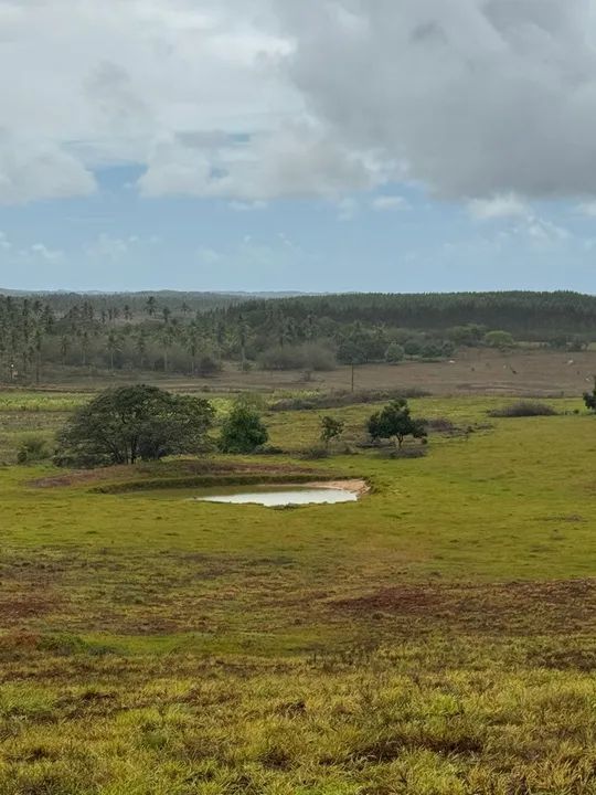 Fazenda em Estância a venda 
