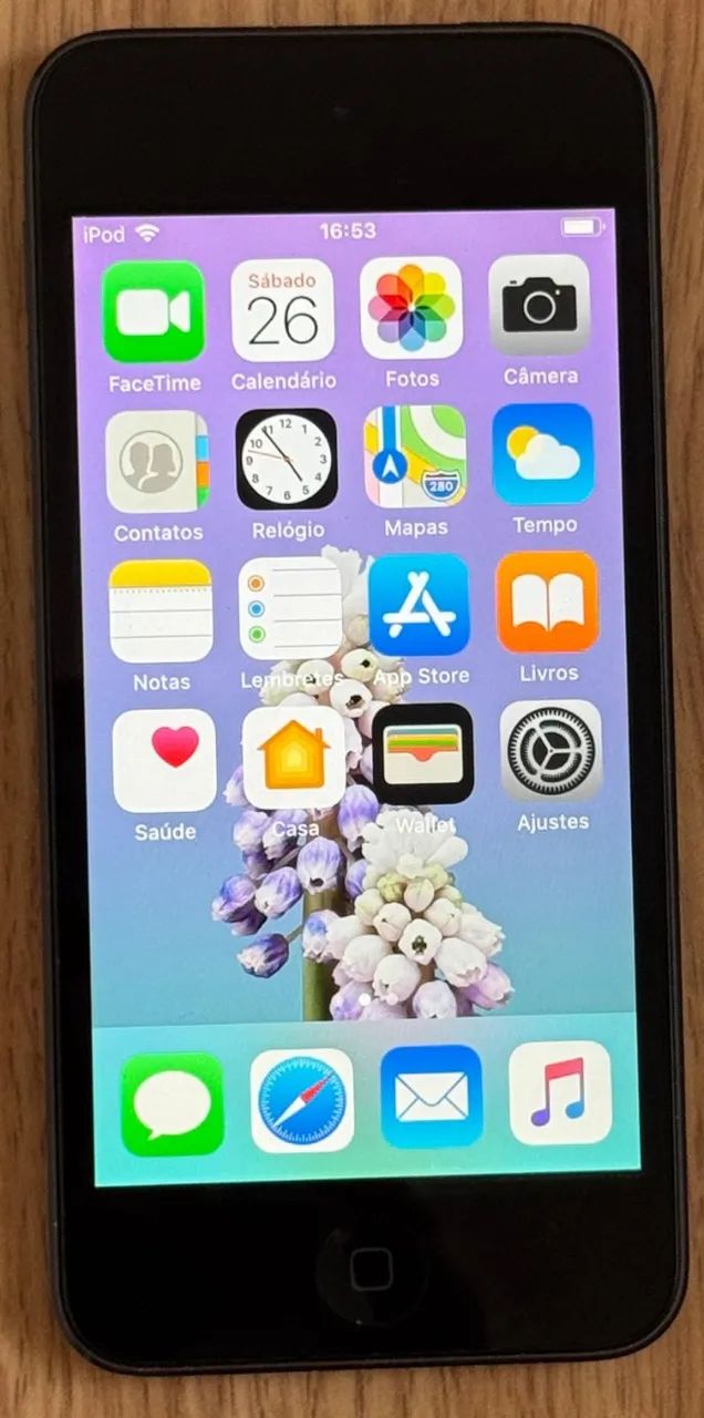 iPod touch 6 Apple, 16GB, Cinza Espacial