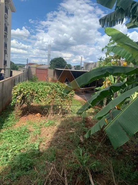 Terreno - Ribeirão Preto - Jardim Zara - Foto 5