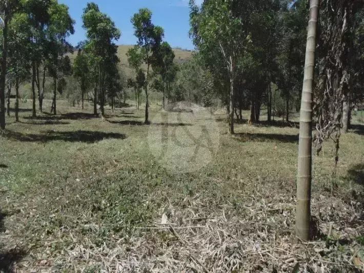 Terreno para venda, 10000m² - Itaipava - Petrópolis/RJ - Foto 2
