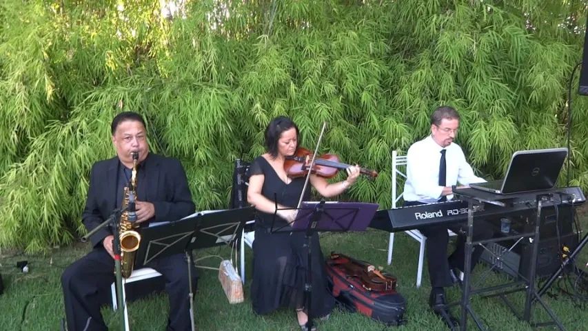 Orquestra Mamadoc - Músicos para cerimônia de casamento - Foto 5