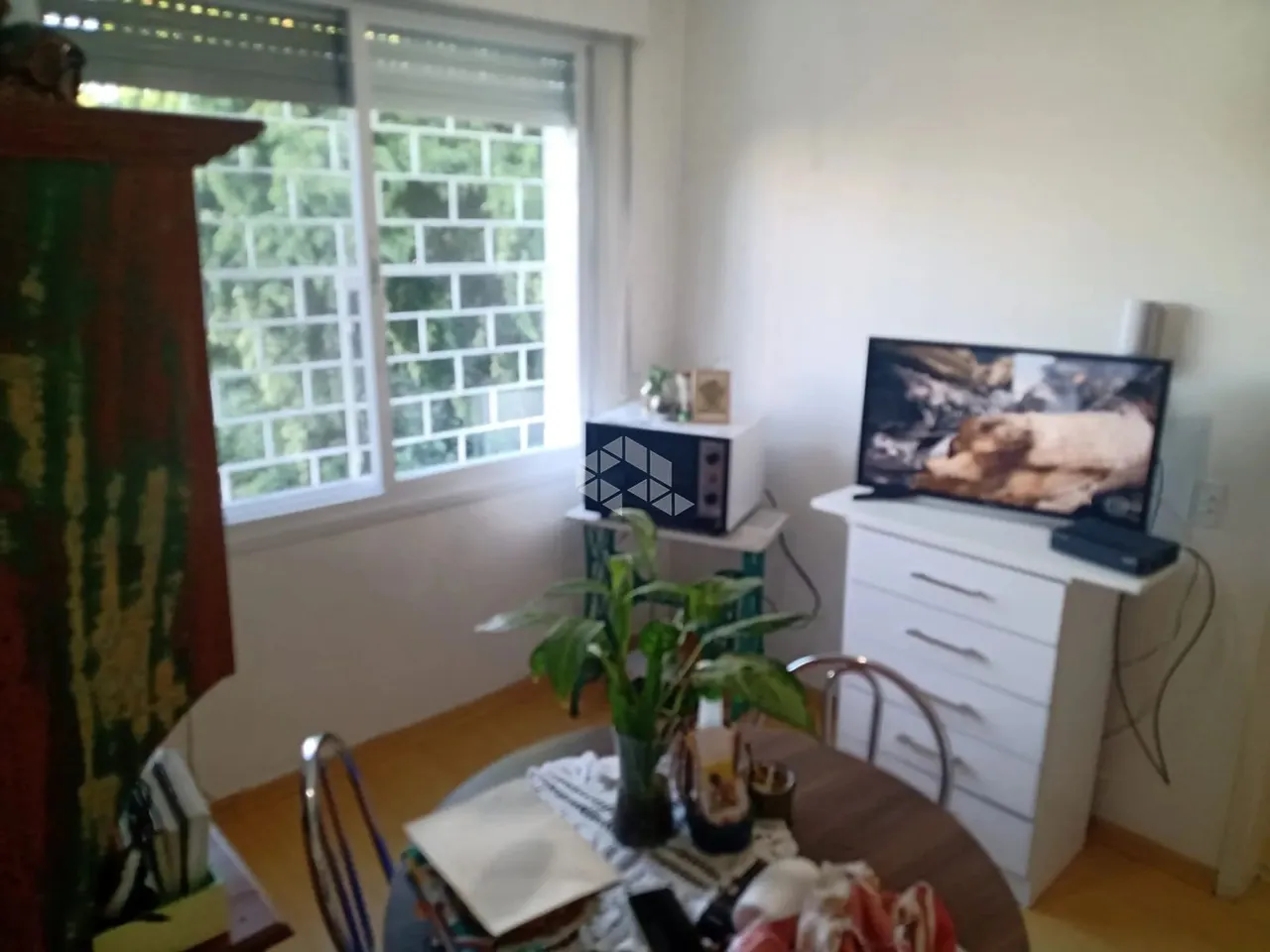 Apartamento JK de 30m² no Bairro Camaquã
