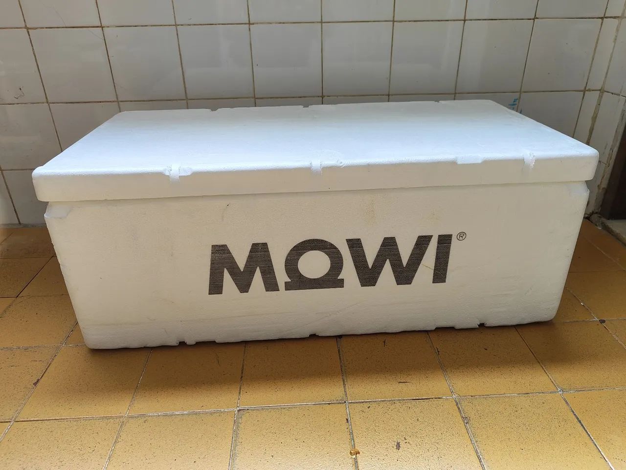 1x caixa isopor mowi 30 litros