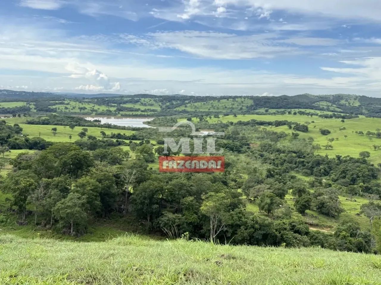 Fazenda 100 alqueires 484 hectares margens represa ( Nova Aurora ) - Foto 4