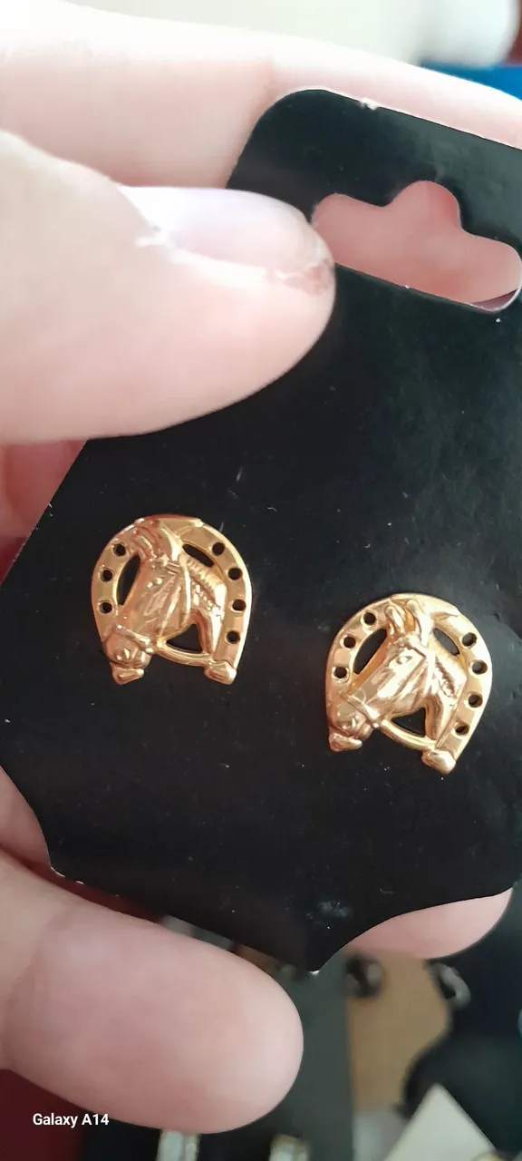 Brinco de cavalo Semi Joia
